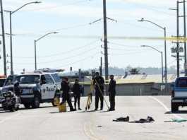 Man dies after being struck by pickup