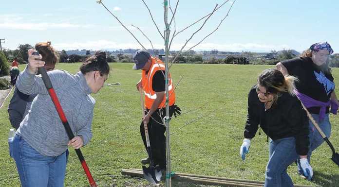 PHOTO: A special memory during Arbor Week