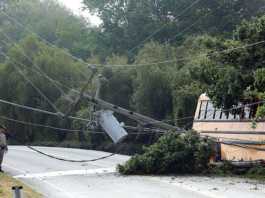 Driver reportedly fell asleep in MVCS school crash