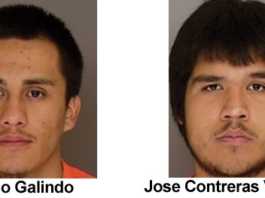 Carjacking suspects identified