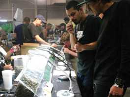 County supervisors approve marijuana events at fairgrounds