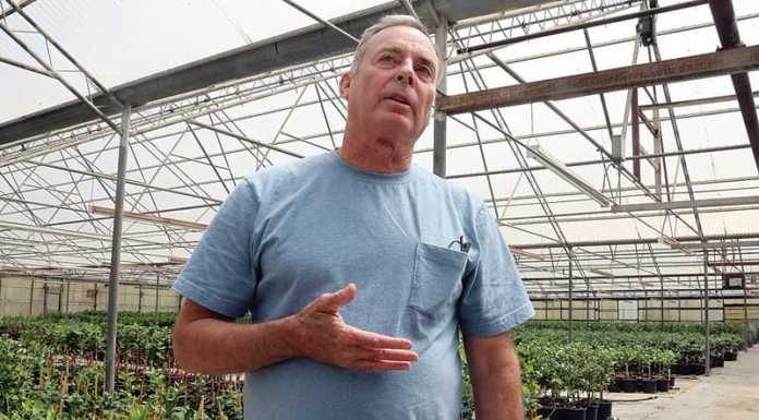 Greenhouse Growers Open House returns