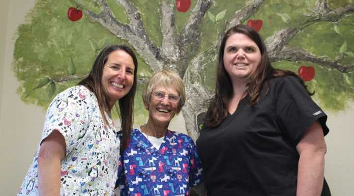 Spay and neuter clinic serves South County pets