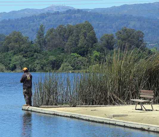 Pinto Lake treatment effective