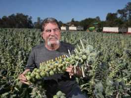 Bontadelli selected as Farmer of the Year