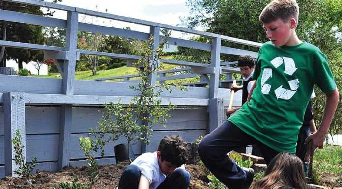 Salesian students work to protect ocean