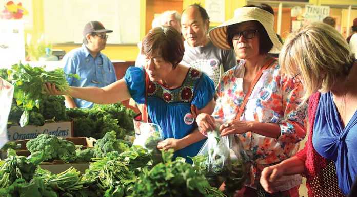 Greenhouses to open doors to the public