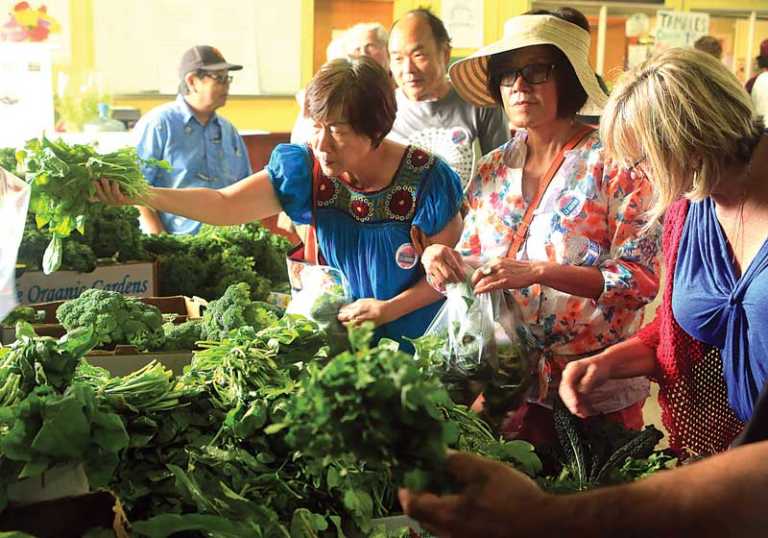 Greenhouses to open doors to the public