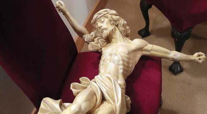 Woman arrested for vandalism, crime spree