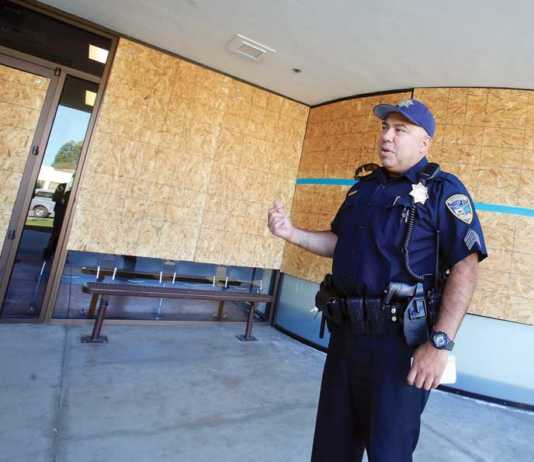 Police: Man vandalized several businesses, vehicles