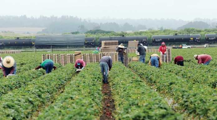 Transportation Commission approves new rail contract