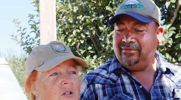 Local farms get big loan boost