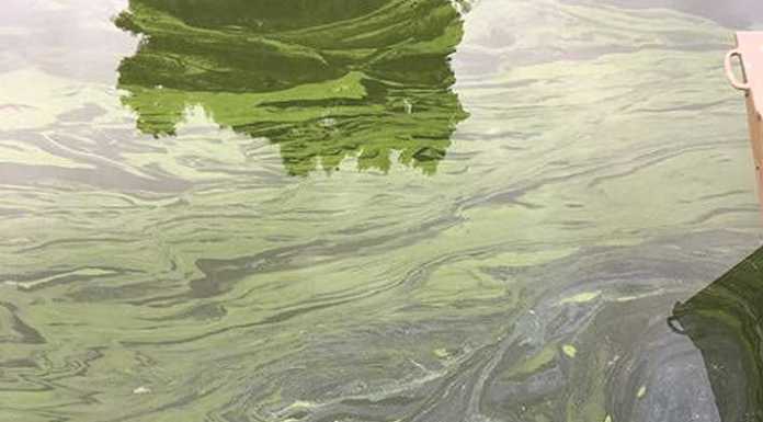 Watsonville closes Pinto Lake boat dock