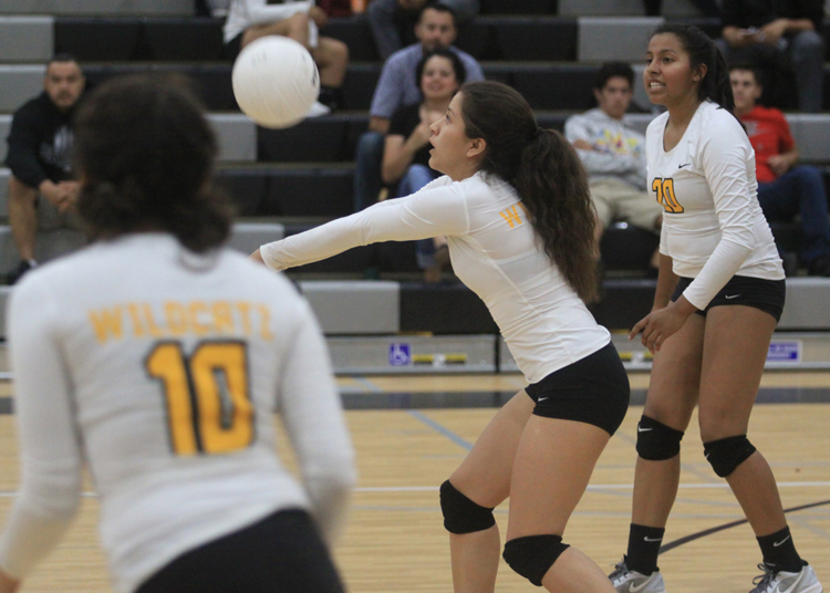 Local roundup, 9/14: Watsonville volleyball begins league season with sweep of N.M.C.