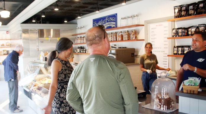 Moss Landing mushroom business expands to Santa Cruz