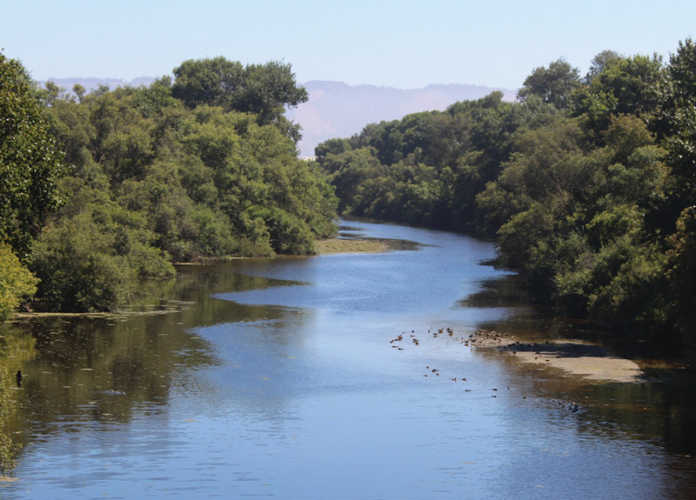 Pajaro River levee