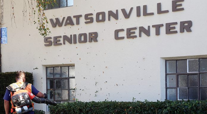 watsonville senior center