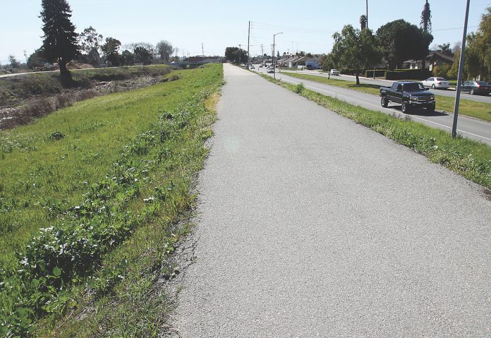 Pajaro river levee