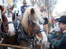 Holiday cheer in Downtown Santa Cruz