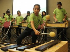 el sistema watsonville