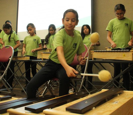 el sistema watsonville