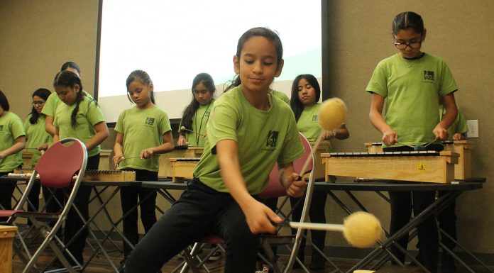 el sistema watsonville