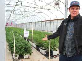 Local grower on cutting edge of organic farming