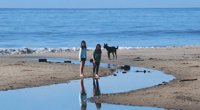 County beaches