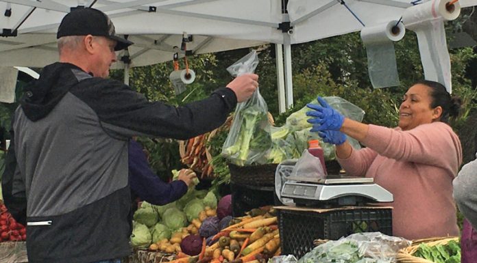 farmers market aptos