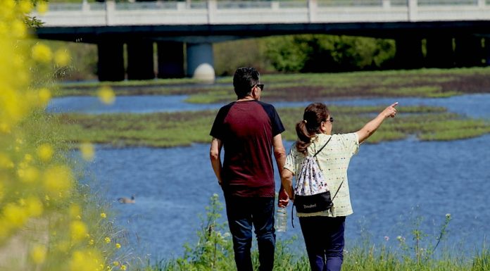 Watsonville slough trails