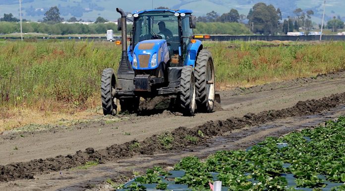 Watsonville farmworkers