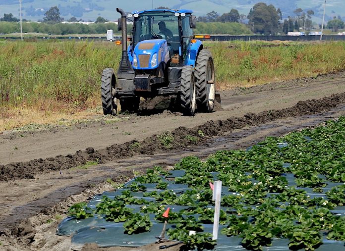 Watsonville farmworkers