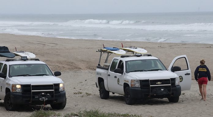 Santa Cruz county shark attack
