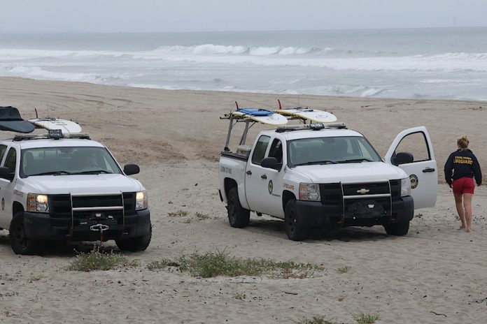 Santa Cruz county shark attack