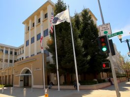 Watsonville city council