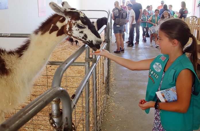 santa cruz county animal rules