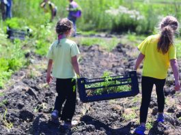 Watsonville organization establishes produce distribution