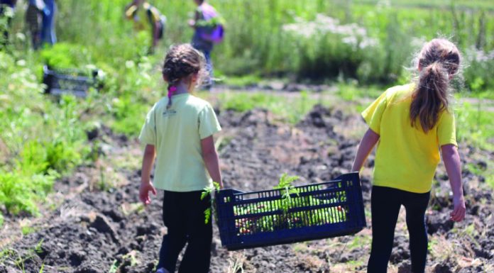 Watsonville organization establishes produce distribution