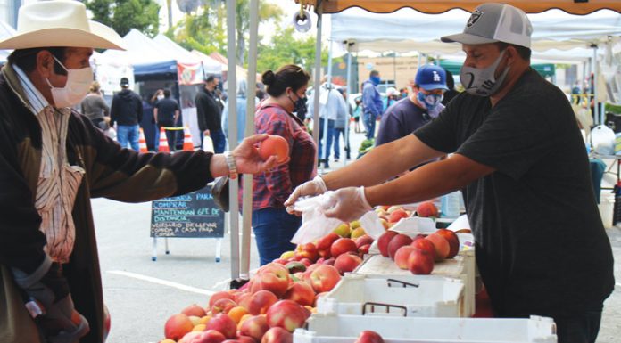 Farmers markets bounce back