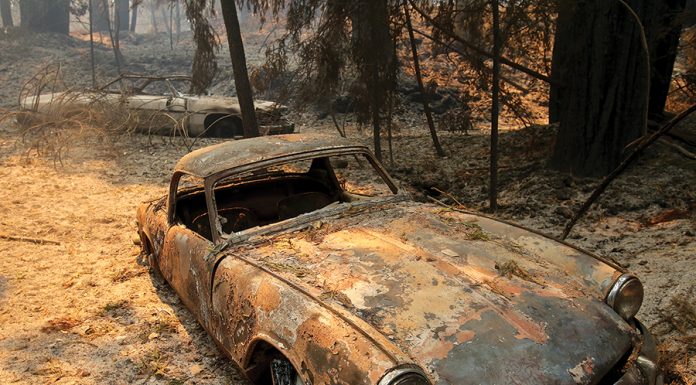 CZU August Lightning Complex Fires