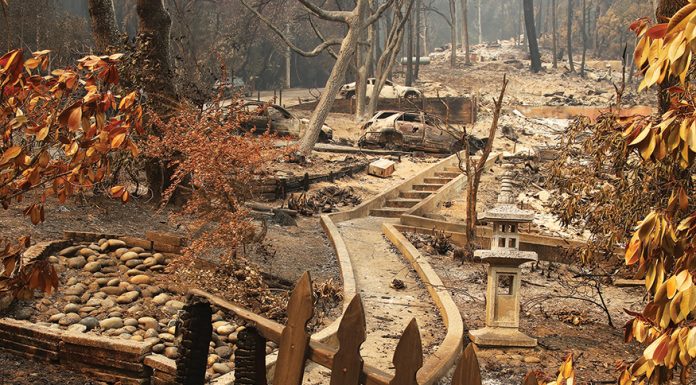 More than 700 structures destroyed by CZU Complex fire; now 24% contained CZU August Lightning Complex fires