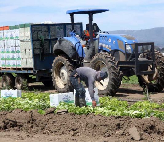 Conference probes climate change and farms