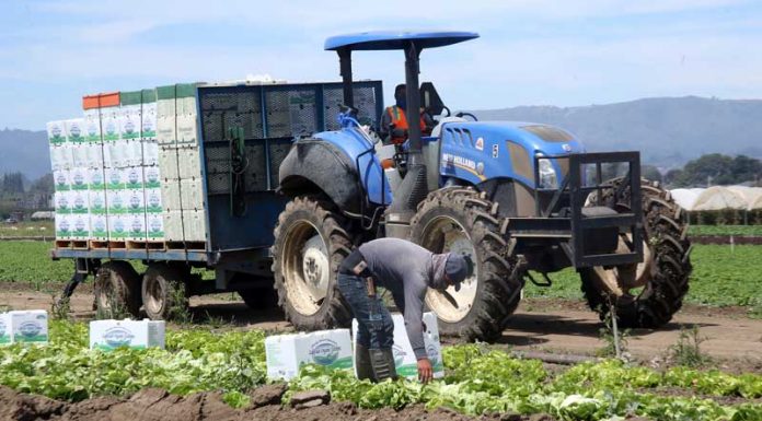 Conference probes climate change and farms