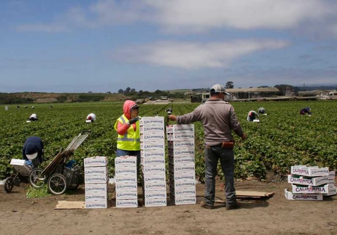 Santa Cruz County