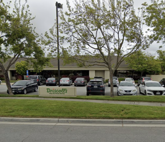 Ex-Driscoll’s exec sentenced to 2 years in prison for embezzlement