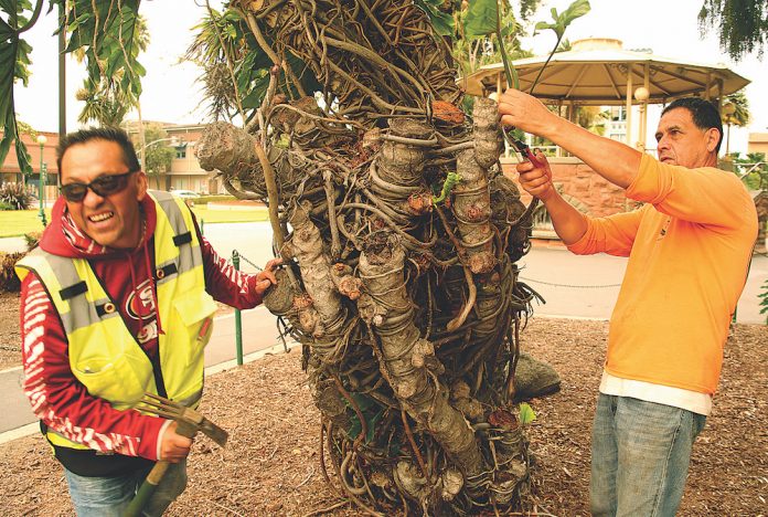 Watsonville cleanup crew