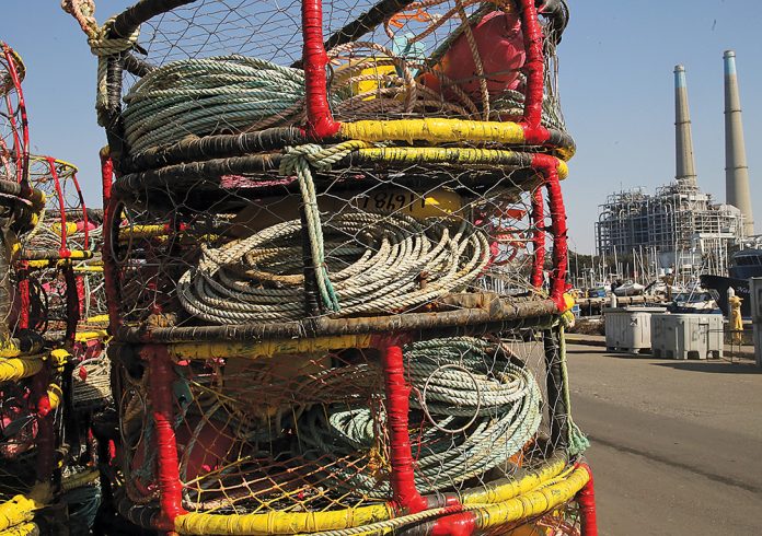 crab season regulations