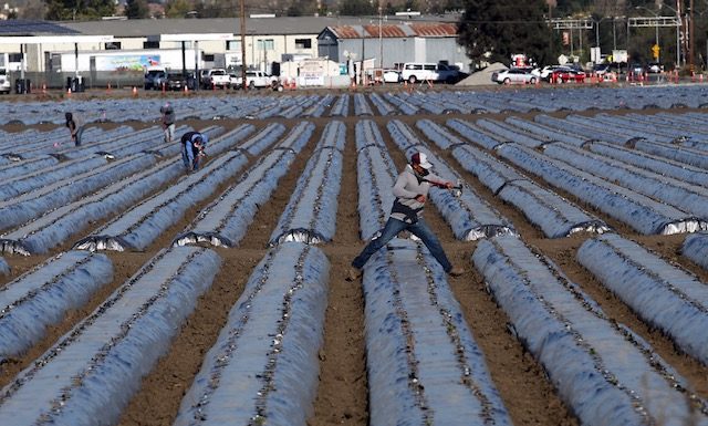 pandemic unemployment santa cruz county