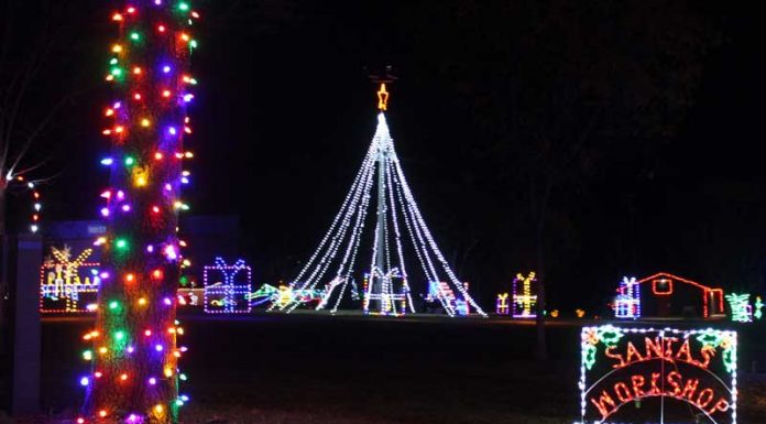 A journey through the lights