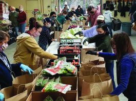 watsonville vaccinations seniors